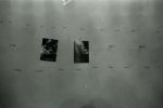 gallery1