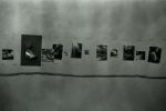 gallery1