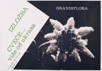 1991-03-01 Grandiflora Cvece vise od ukrasa PP